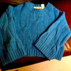 Maeve Anthropologie Crop Rich Blue Sweater